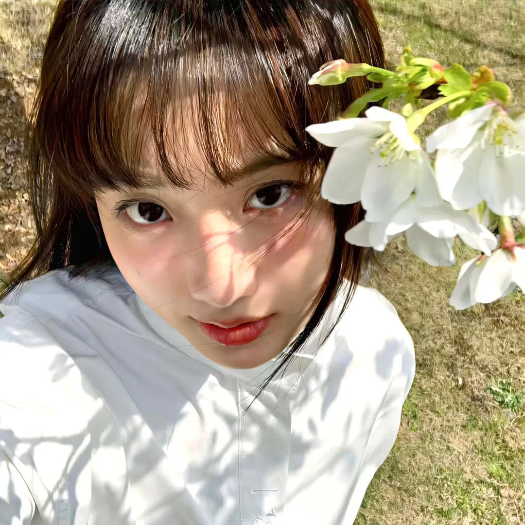 地平线系列：全球怪象